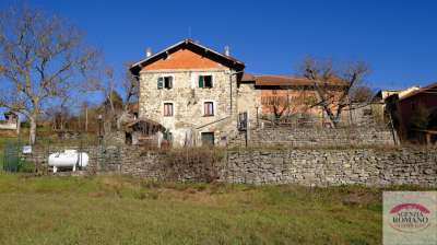 Vendita Multivani, Mioglia Vendita Multivani, Mioglia