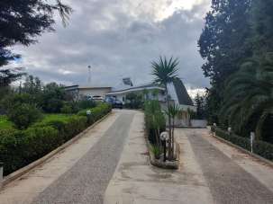 Vendita Multivani, Palermo Vendita Multivani, Palermo