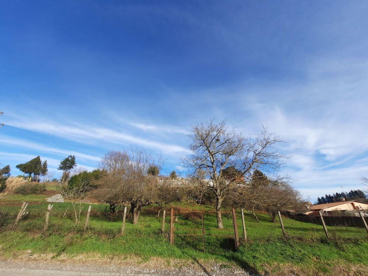 Vendita Case, Palestrina foto