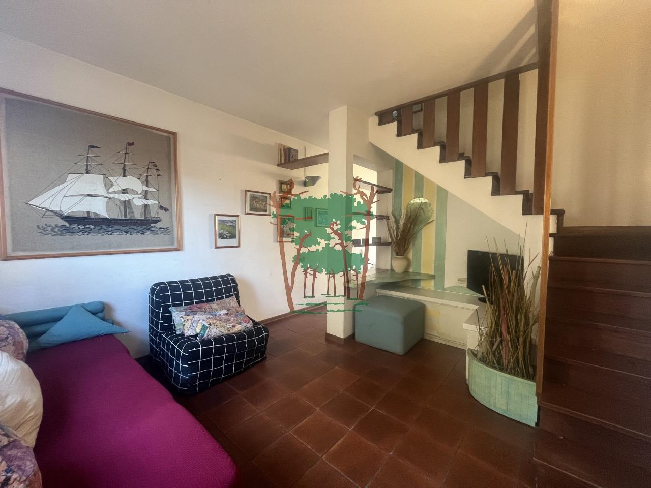 Vendita Quadrivani, Viareggio foto
