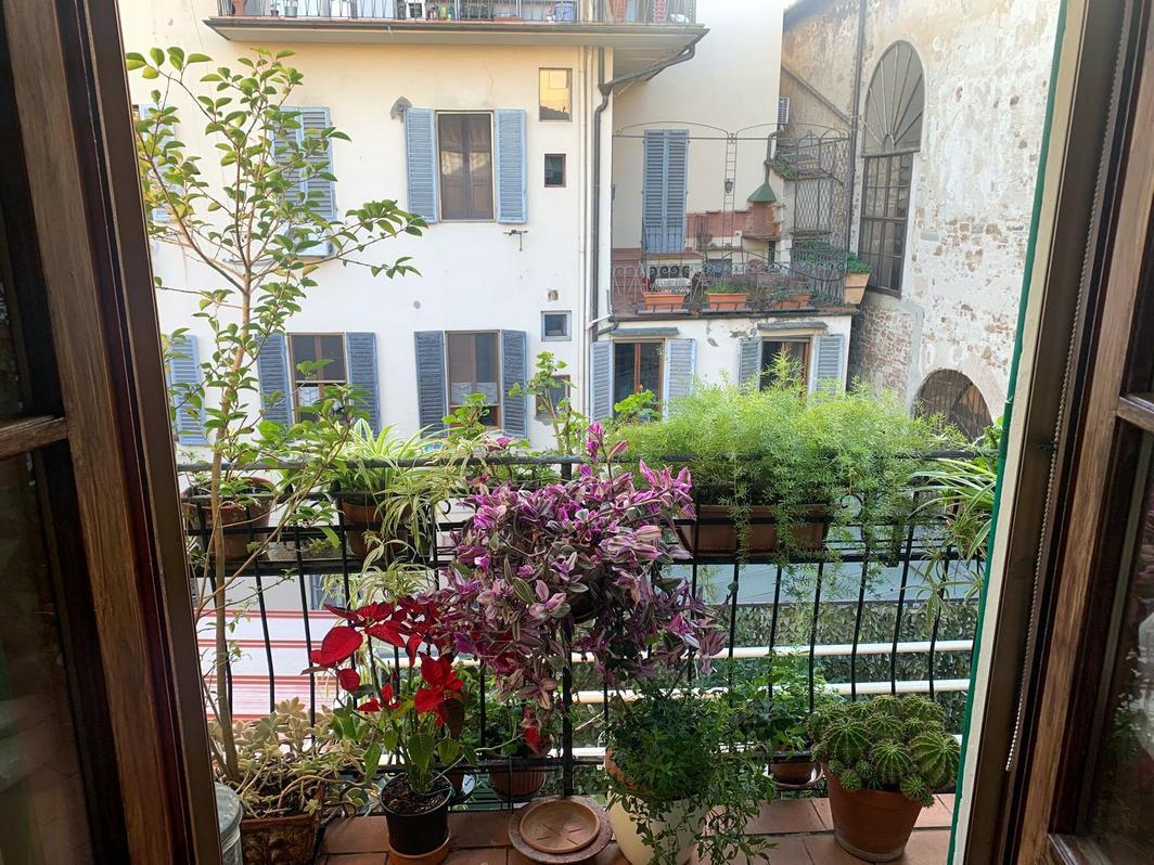 Vendita Pentavani, Firenze foto