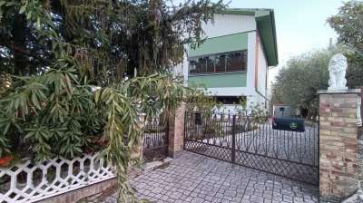 Vendita Trivani, Fossombrone Vendita Trivani, Fossombrone