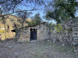 Vendita vendita, Vallebona