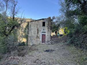 Vendita vendita, Vallebona