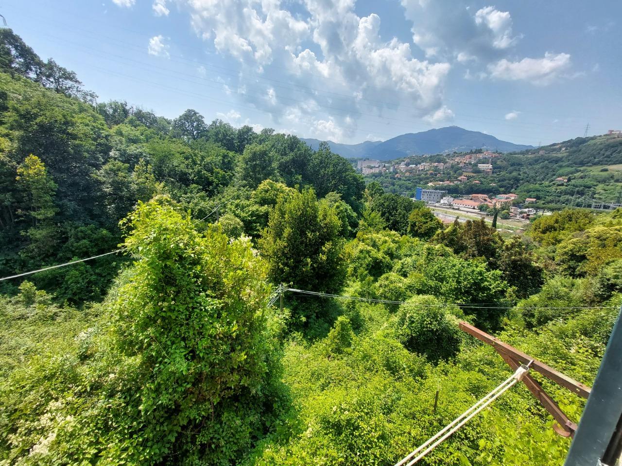 Vendita Pentavani, Genova foto
