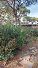 Vendita Multivani, Castiglione della Pescaia Vendita Multivani, Castiglione della Pescaia