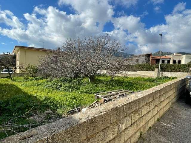 Vendita vendita, Siniscola foto