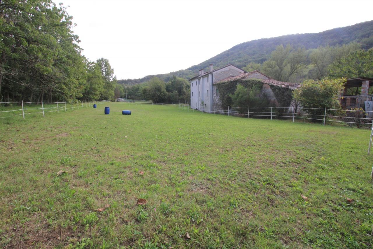 Vendita Pentavani, Tarzo foto