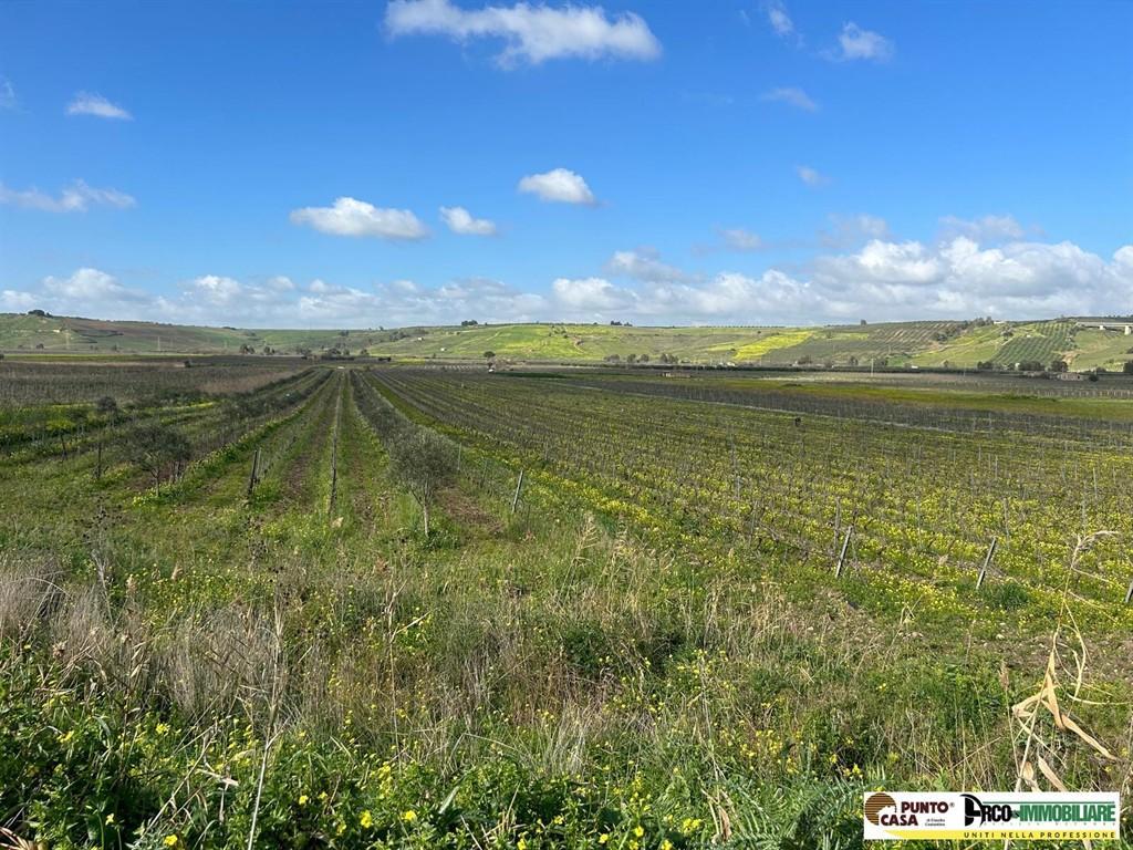 Vendita Terreno Agricolo, Castelvetrano foto