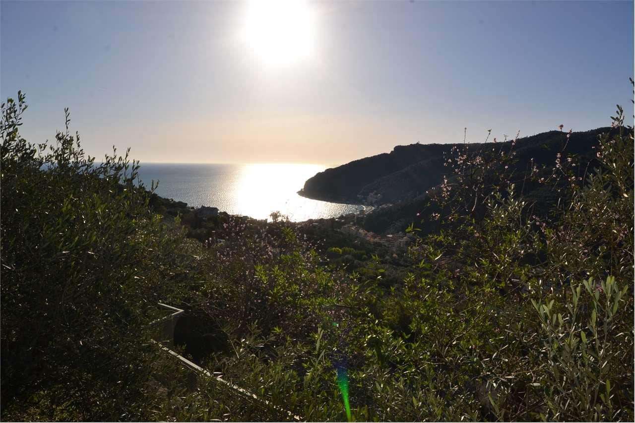 Vendita vendita, Noli foto