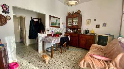 Vendita Trivani, Cecina Vendita Trivani, Cecina