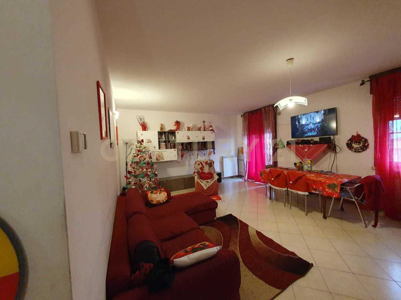 Vendita Quadrivani, Casaleone foto