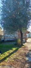 Vendita Quadrivani, Carmignano Vendita Quadrivani, Carmignano