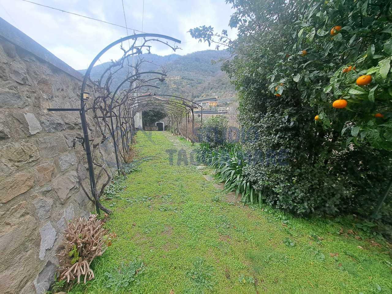 Vendita Trivani, Taggia foto