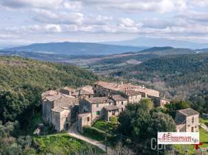 Vendita Trivani, Monticiano Vendita Trivani, Monticiano