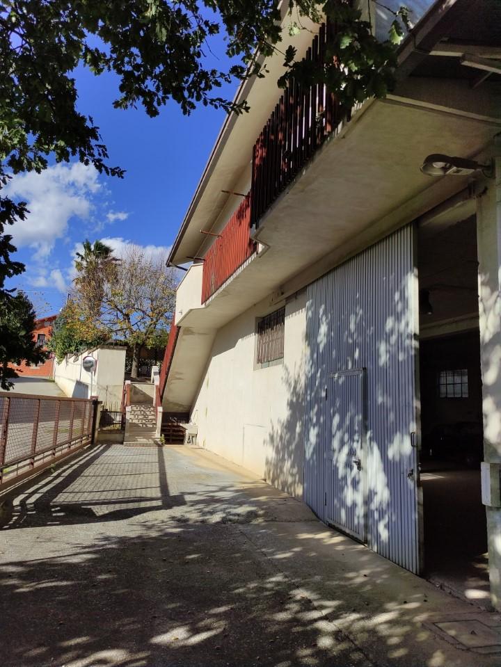 Vendita Bivani, Rosciano foto