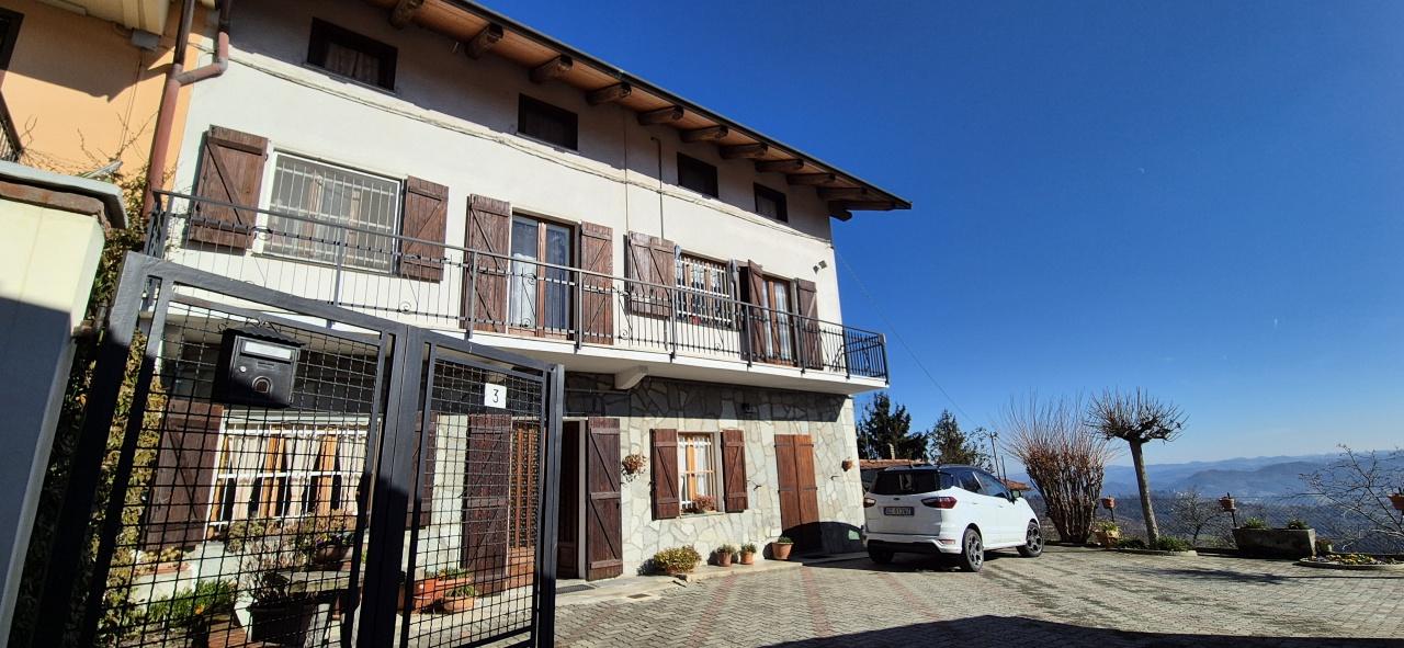 Vendita Multivani, Castagneto Po foto