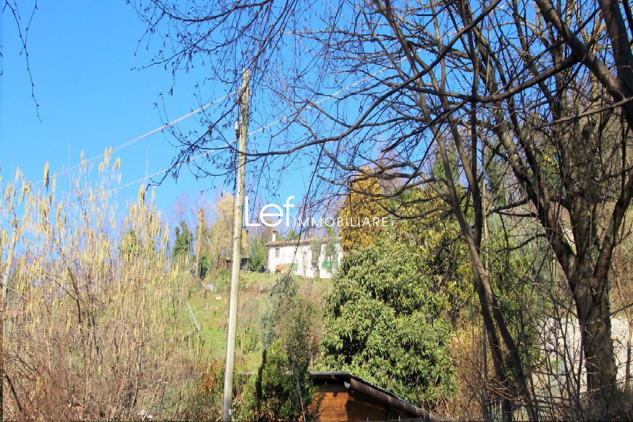 Vendita Quadrivani, Pederobba foto