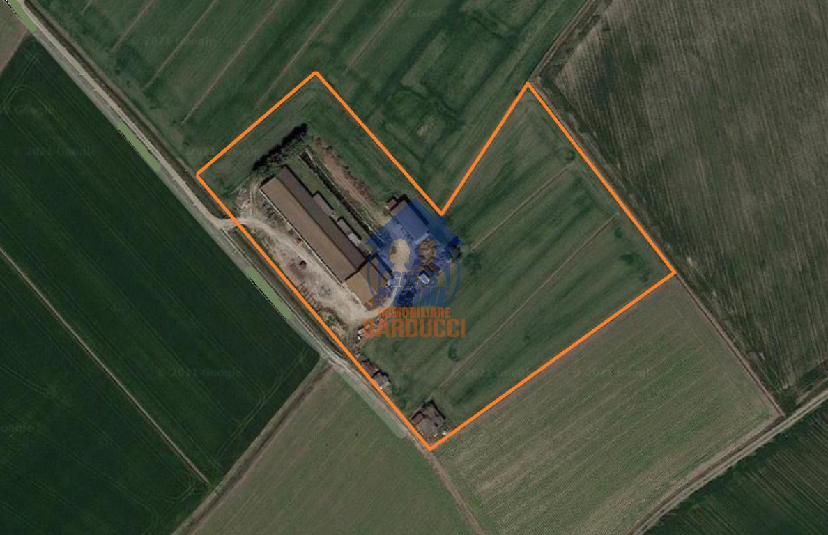 Vendita Capannone, Cervia foto