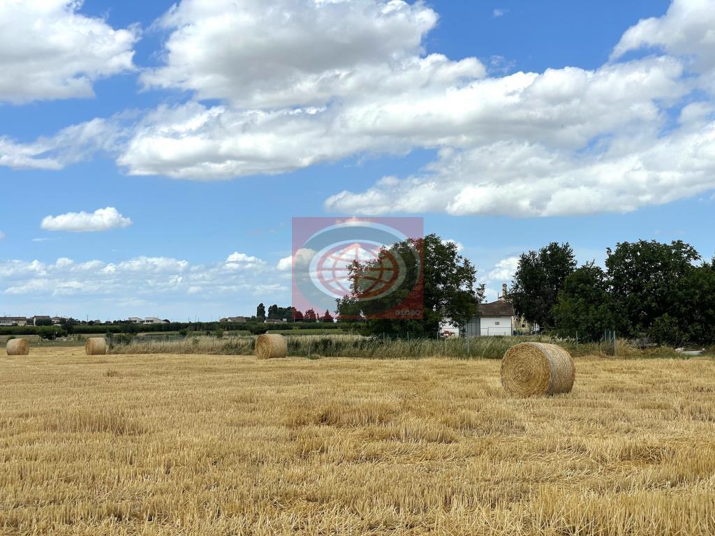 Vendita Terreno Residenziale, Cesena foto