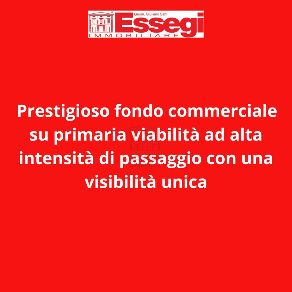 Vendita Multivani, Lucca foto