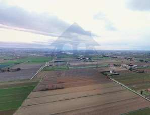 Vendita Terreno Industriale, Cesenatico Vendita Terreno Industriale, Cesenatico
