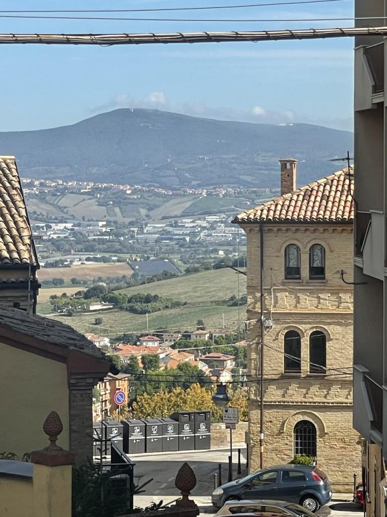 Vendita Multivani, Osimo foto