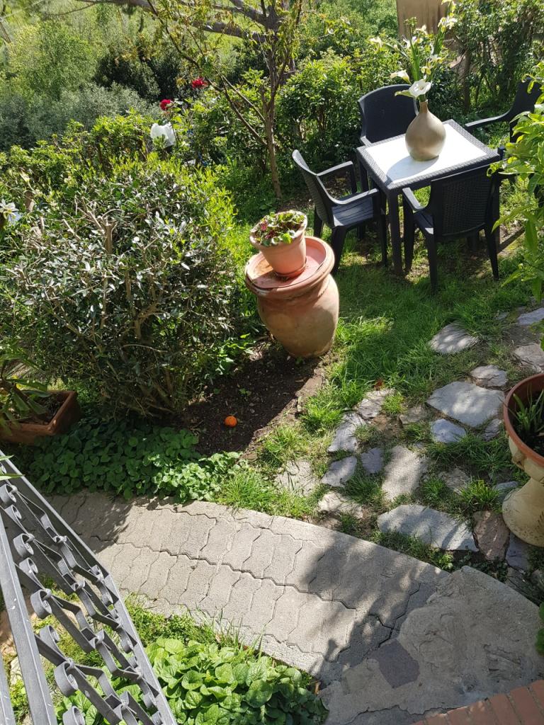 Vendita Multivani, Calci foto