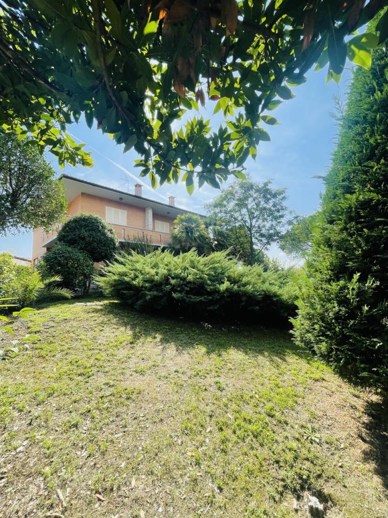 Vendita Multivani, Osimo foto