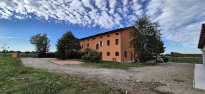 Vendita Quadrivani, Modena Vendita Quadrivani, Modena