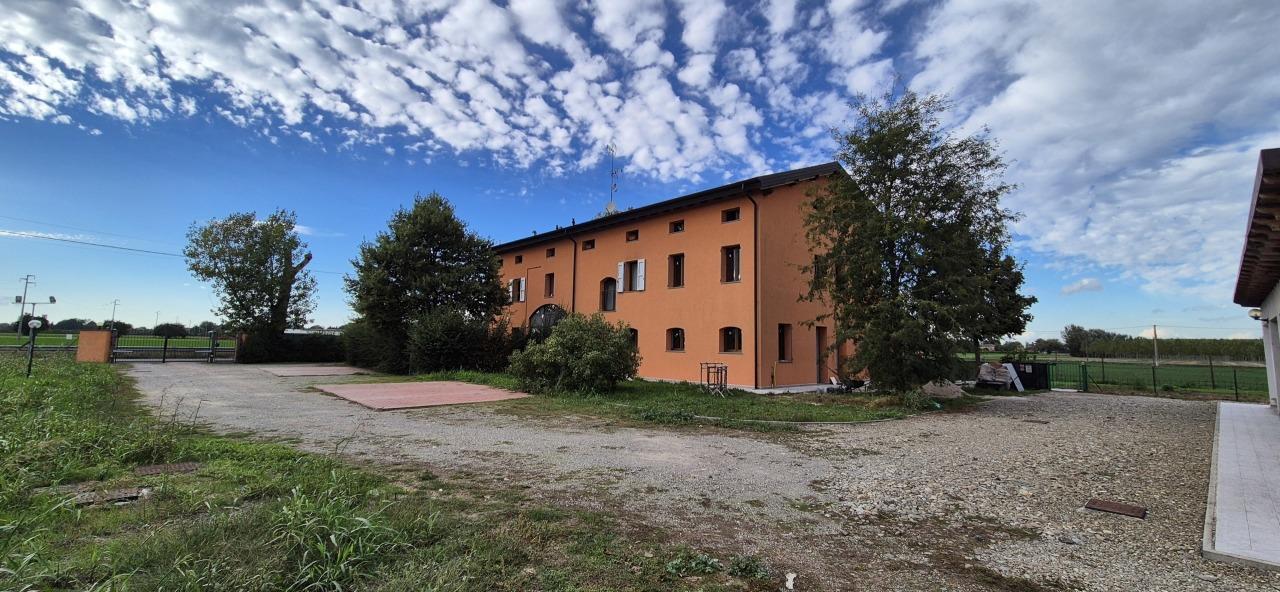 Vendita Quadrivani, Modena foto