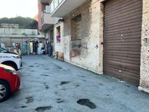 Vendita Bivani, Genova Vendita Bivani, Genova
