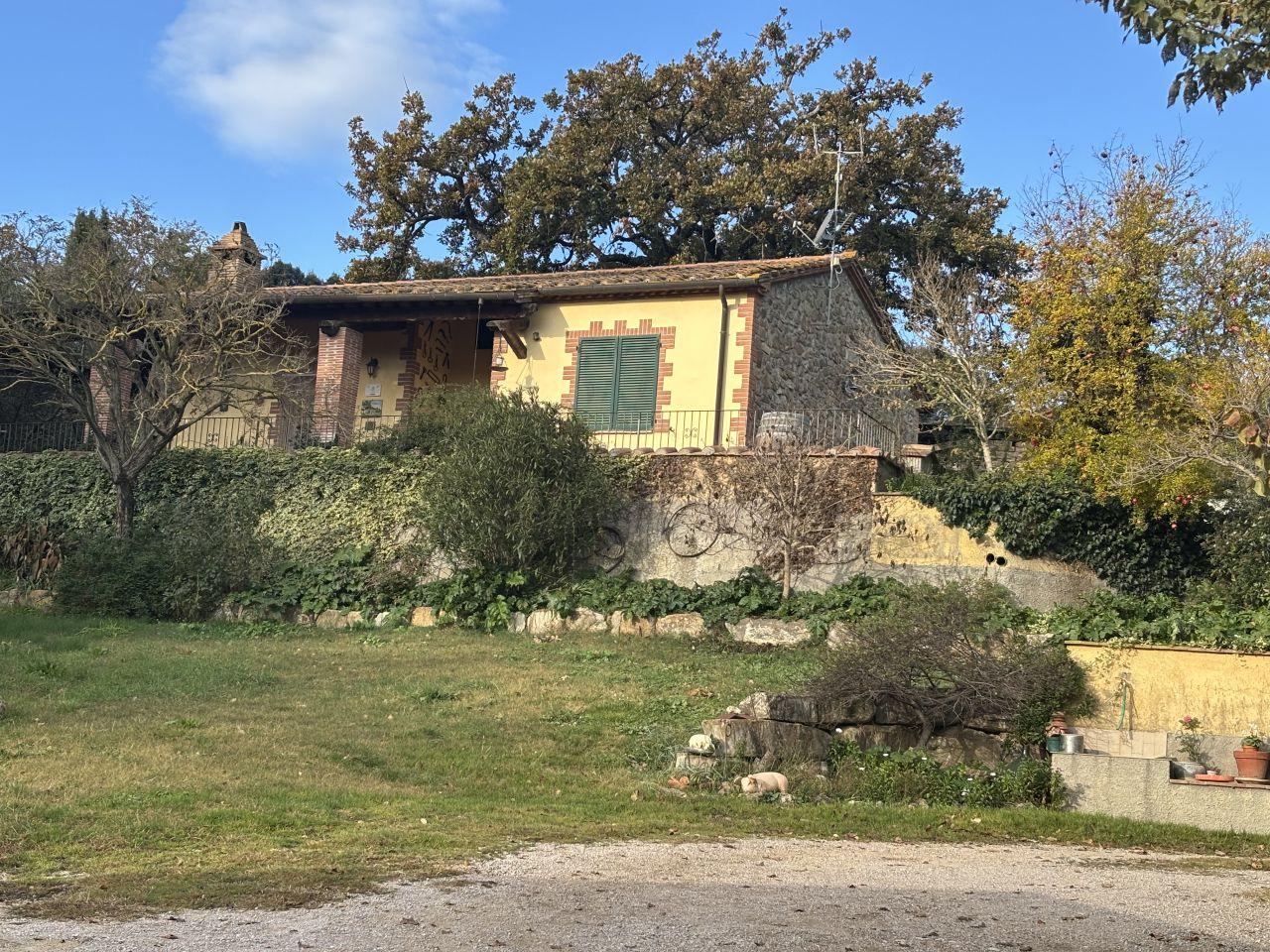 Vendita Multivani, Campagnatico foto