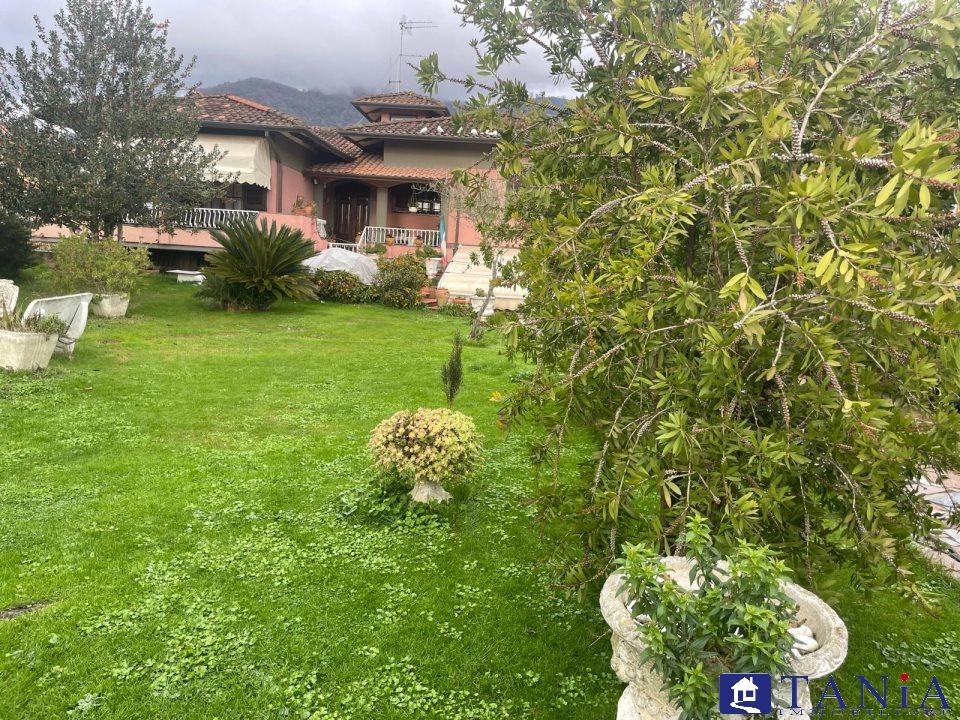 Vendita Eptavani, Carrara foto