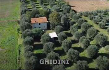 Vendita Multivani, Campagnatico Vendita Multivani, Campagnatico