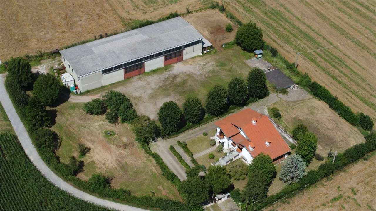 Vendita vendita, Rovellasca foto