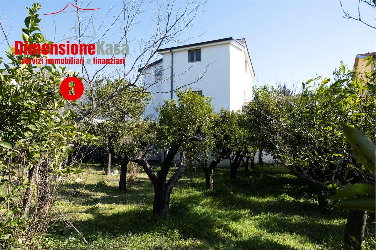 Vendita vendita, Marzano di Nola foto