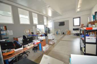 Vendita Multivani, Grosseto Vendita Multivani, Grosseto
