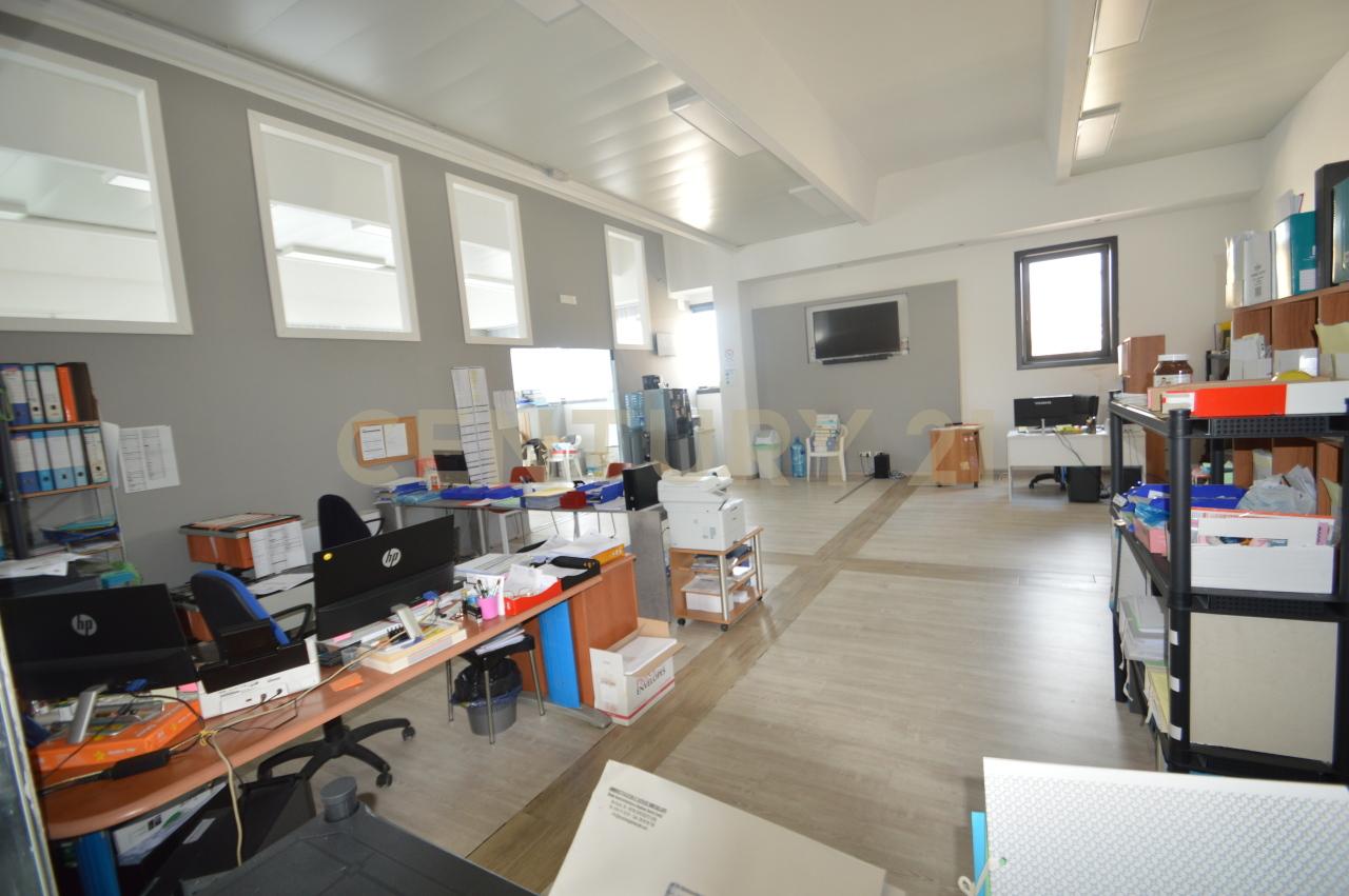 Vendita Multivani, Grosseto foto
