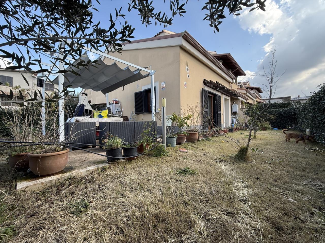 Vendita Villa, Frascati foto