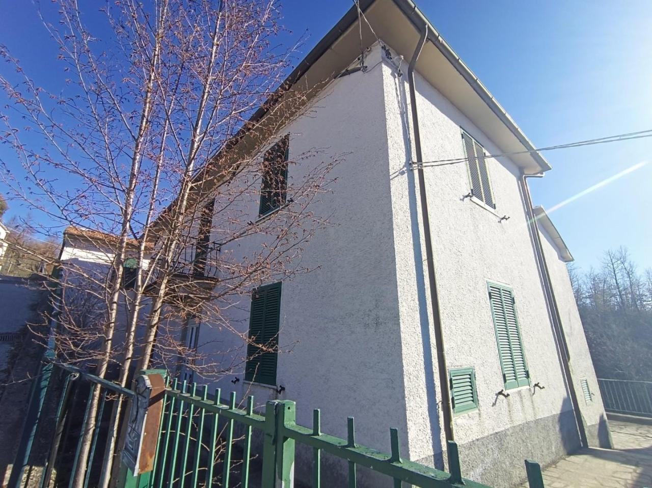Vendita Casa indipendente, Piazza al Serchio foto