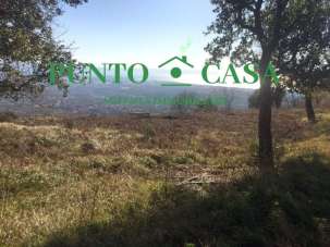 Vendita vendita, Lamezia Terme Vendita vendita, Lamezia Terme