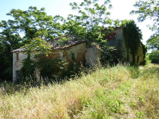 Vendita vendita, Vallefoglia foto