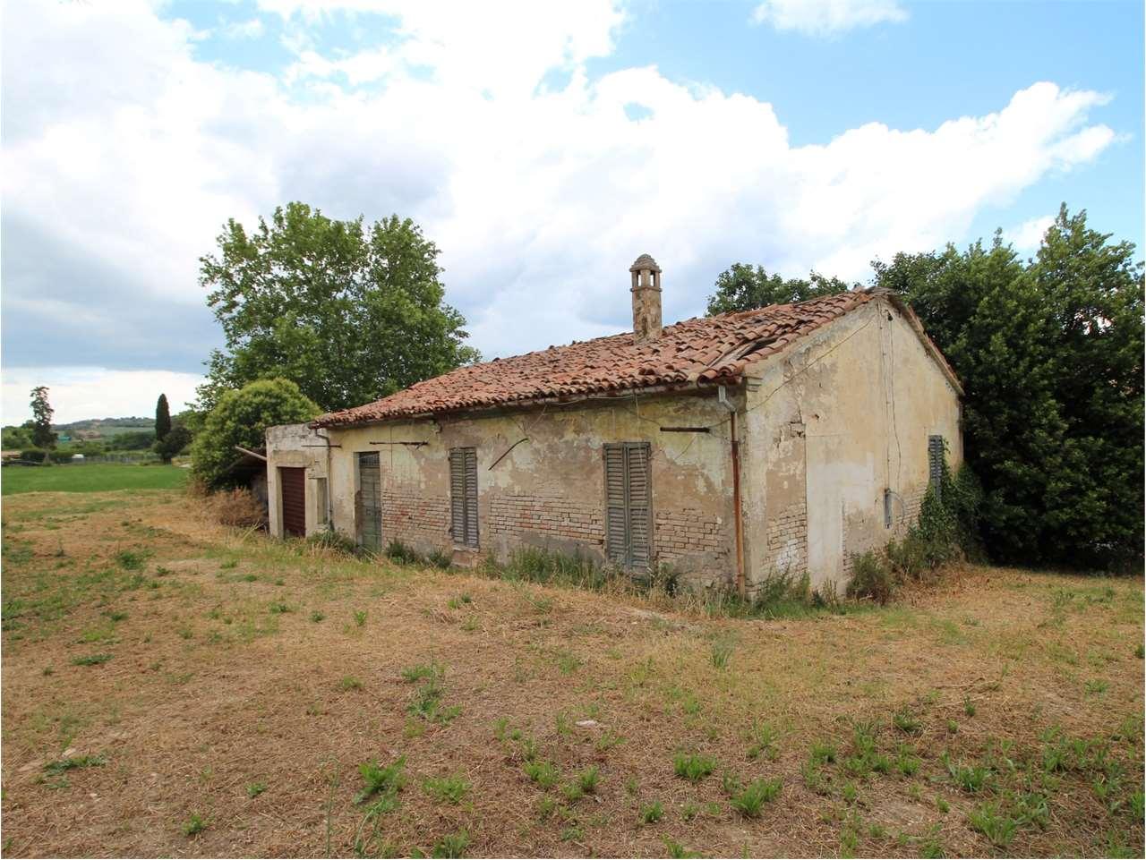Vendita vendita, Pesaro foto