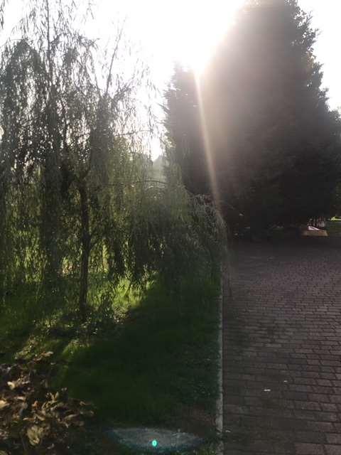 Vendita vendita, Aicurzio foto