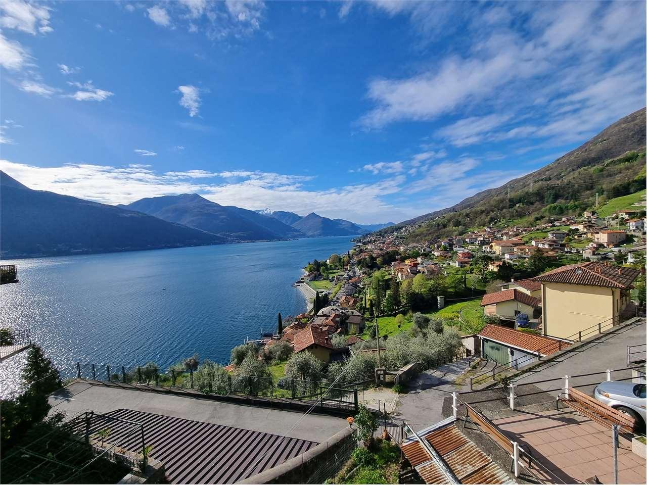 Vendita vendita, Musso foto