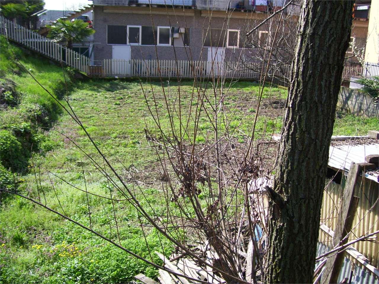 Vendita vendita, Saronno foto