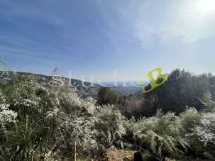 Vendita vendita, Vallebona