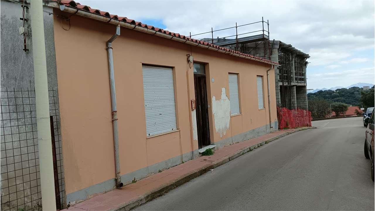 Vendita vendita, Luogosanto foto