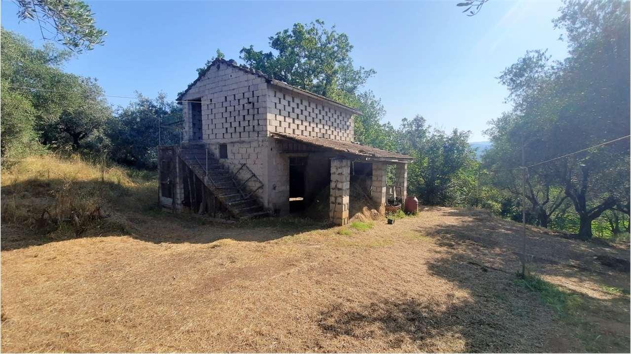 Vendita vendita, Monte San Giovanni Campano foto